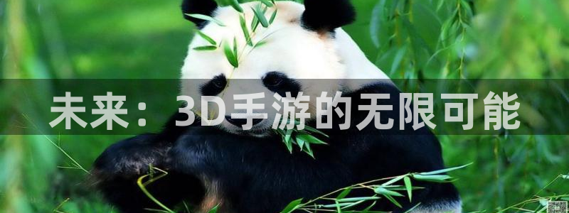 28大神怎么下载不了