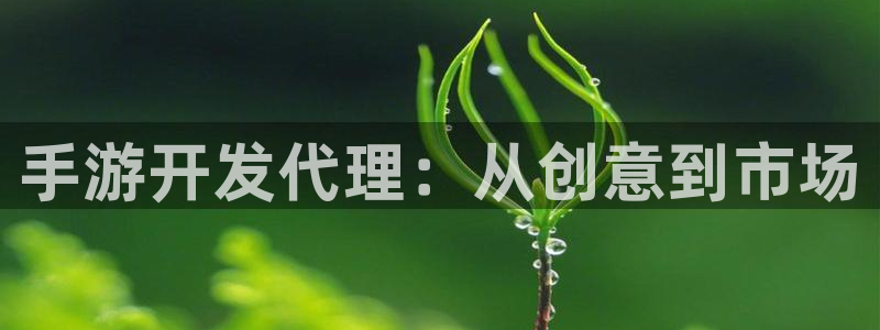 28大神在线：手游开发代理：从创意到市场