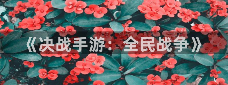 28.28大神：《决战手游：全民战争》