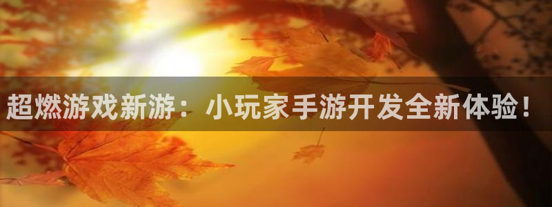 pg国际开奖结果查询：超燃游戏新游：小玩家手游开发全新体验！